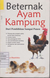 Beternak Ayam Kampung dari Pembibitan Sampai Panen