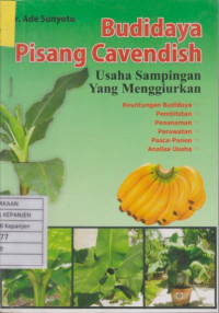 Budidaya Pisang Cavendish Usaha Sampingan yang Menggiurkan