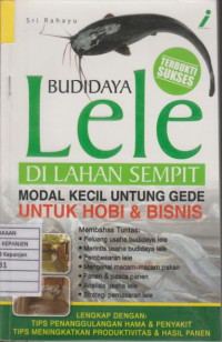 Budi Daya Lele di Lahan Sempit Modal Kecil Untung Gede untuk Hobi & Bisnis