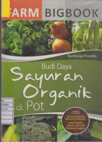 Budi Daya Sayuran Organik di Pot