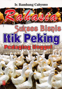 Rahasia Sukses Bisnis Itik Peking Pedaging Unggul