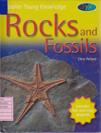 Rocks and Fossils